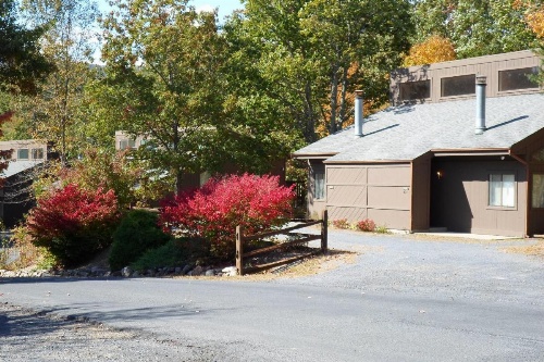 Senedo Springs image 11